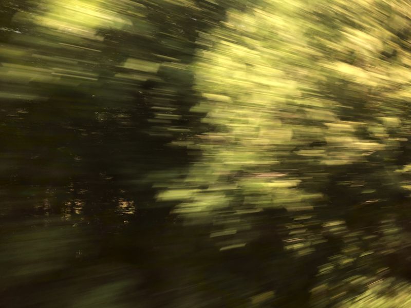 Forum member supplied image with no explanatory text