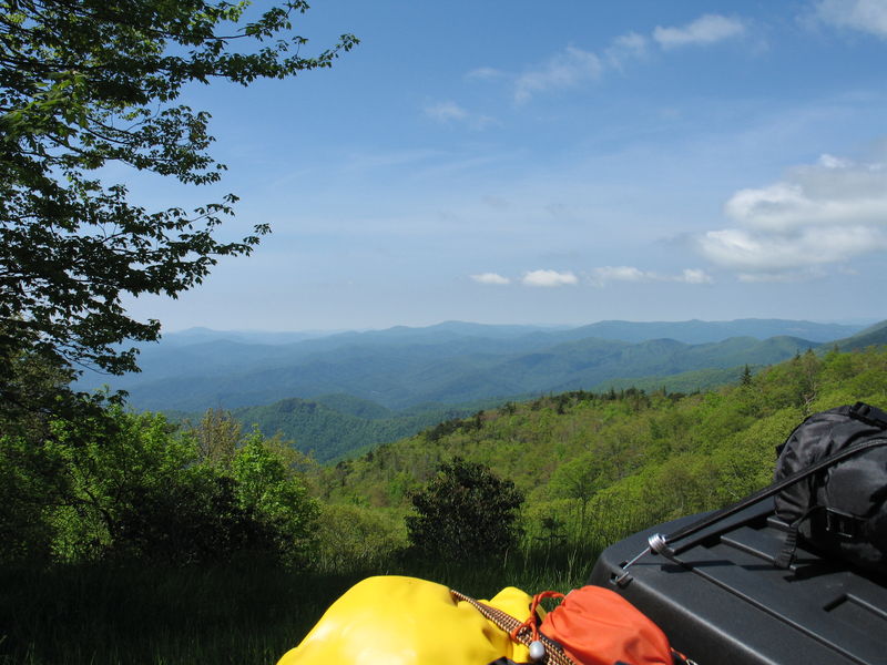 Forum member supplied image with no explanatory text