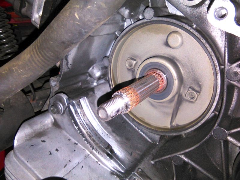 Forum member supplied image with no explanatory text