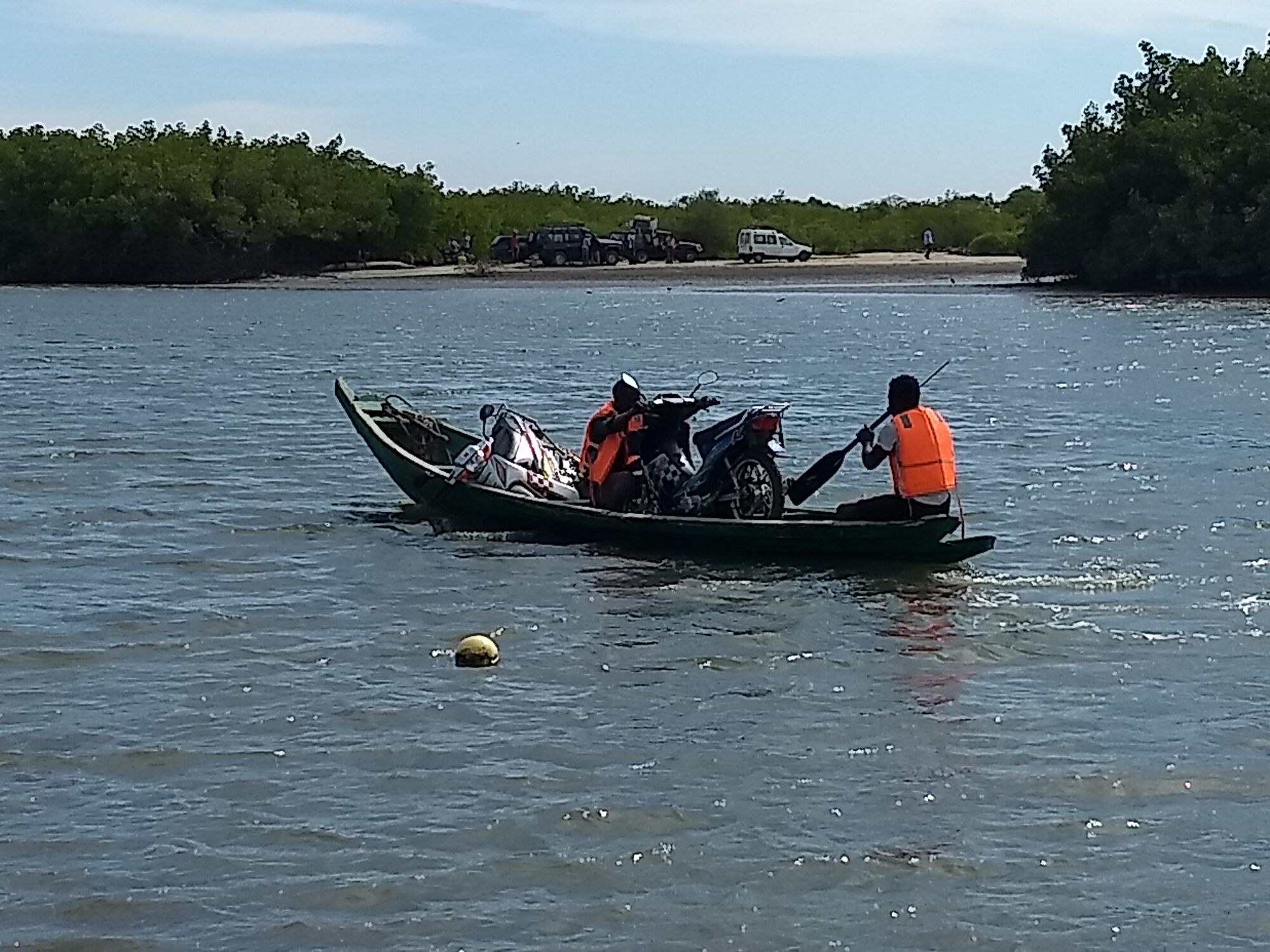 Forum member supplied image with no explanatory text