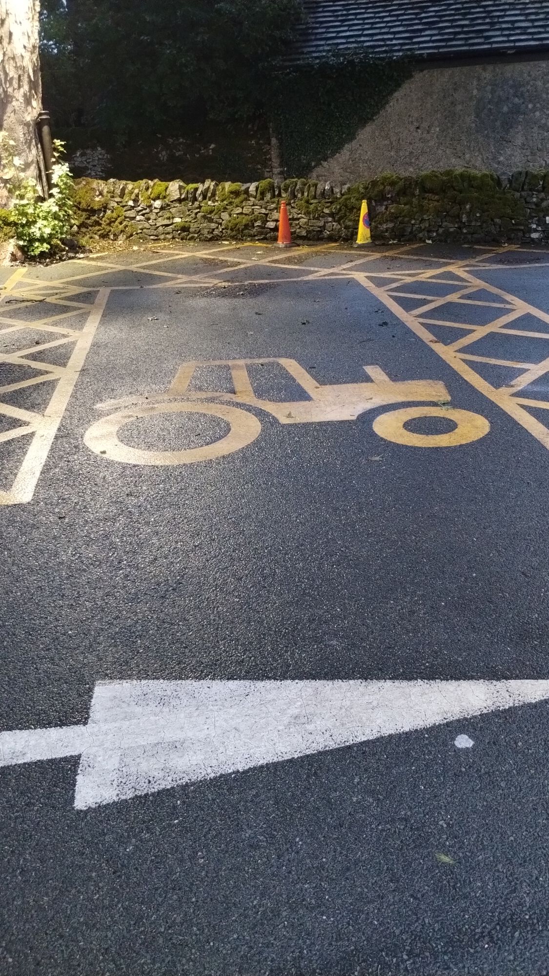 Forum member supplied image with no explanatory text