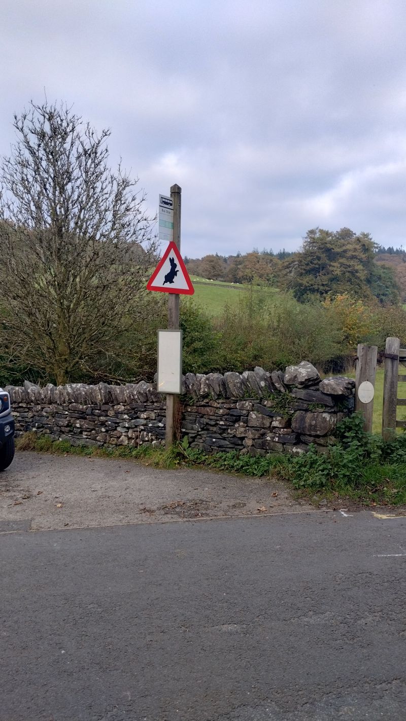 Forum member supplied image with no explanatory text