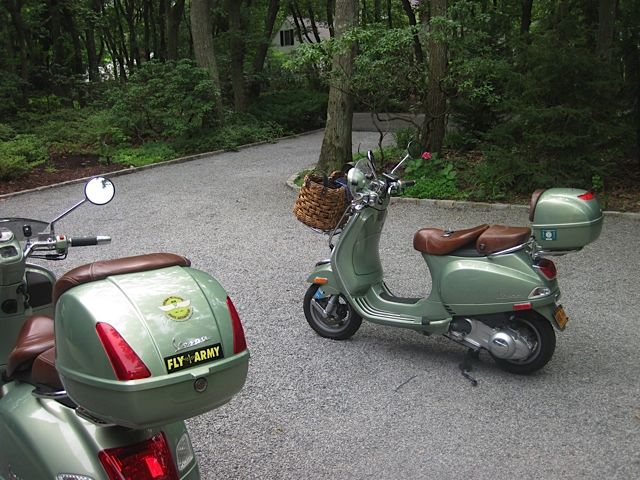 Forum member supplied image with no explanatory text