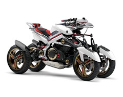 Forum member supplied image with no explanatory text