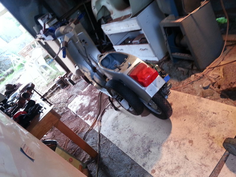 Forum member supplied image with no explanatory text