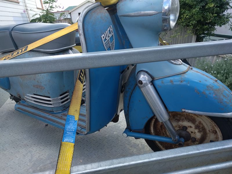Forum member supplied image with no explanatory text
