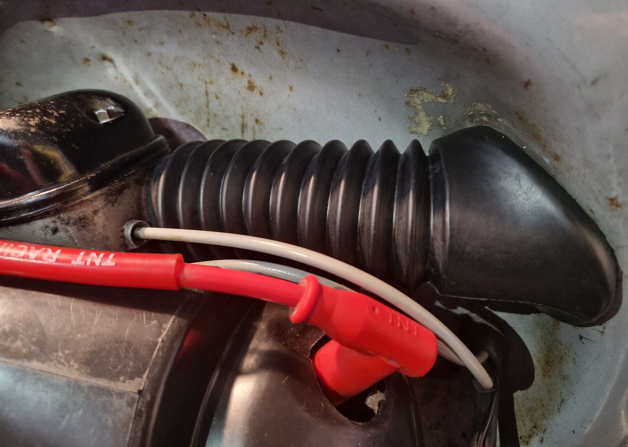 Forum member supplied image with no explanatory text