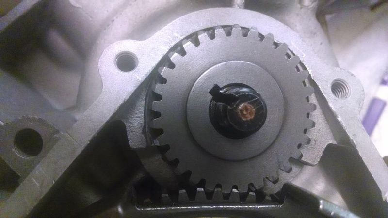 Forum member supplied image with no explanatory text