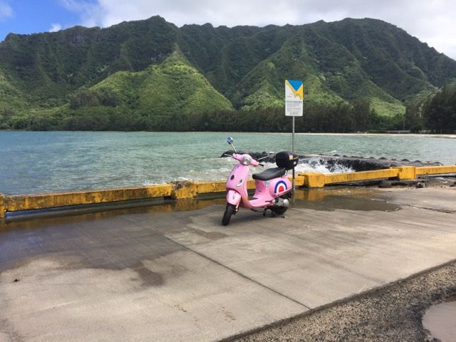 Forum member supplied image with no explanatory text