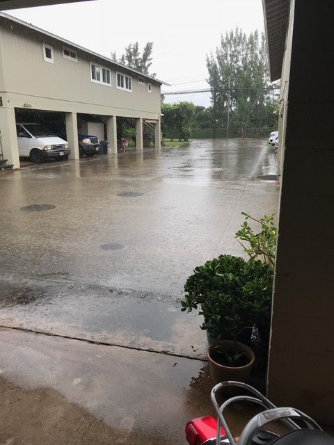 Forum member supplied image with no explanatory text