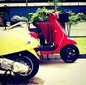 @justeelona avatar