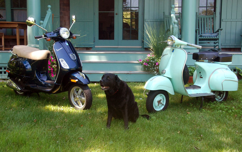 Forum member supplied image with no explanatory text