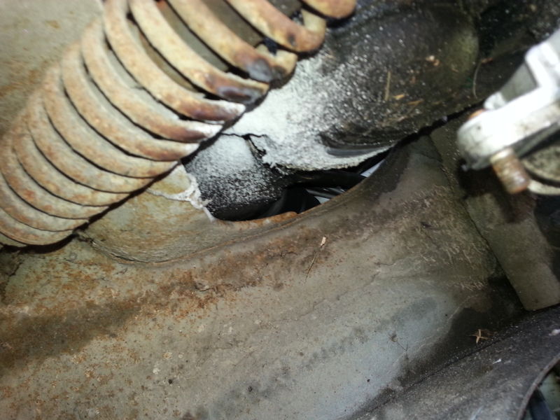 Forum member supplied image with no explanatory text