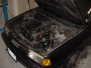 Forum member supplied image with no explanatory text