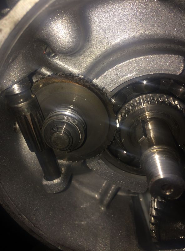 Forum member supplied image with no explanatory text