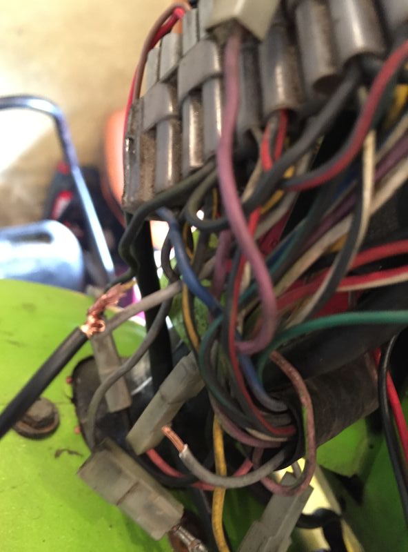 Forum member supplied image with no explanatory text