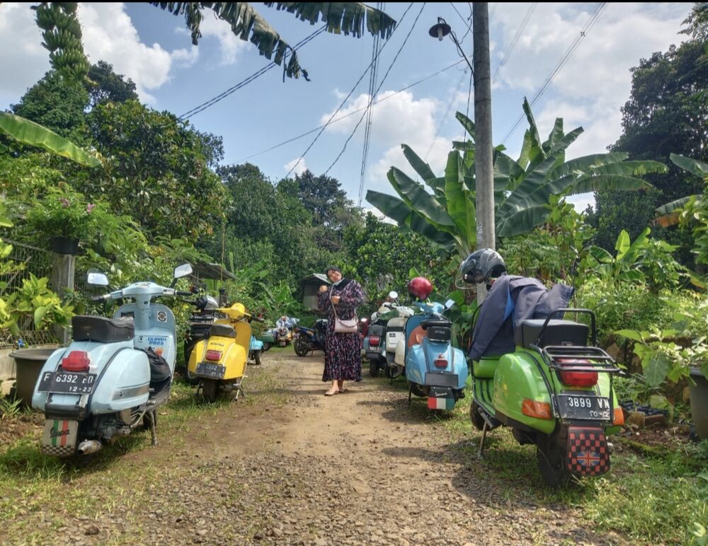 Forum member supplied image with no explanatory text