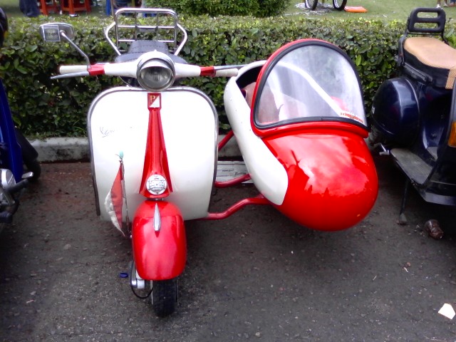 the white and red patriot