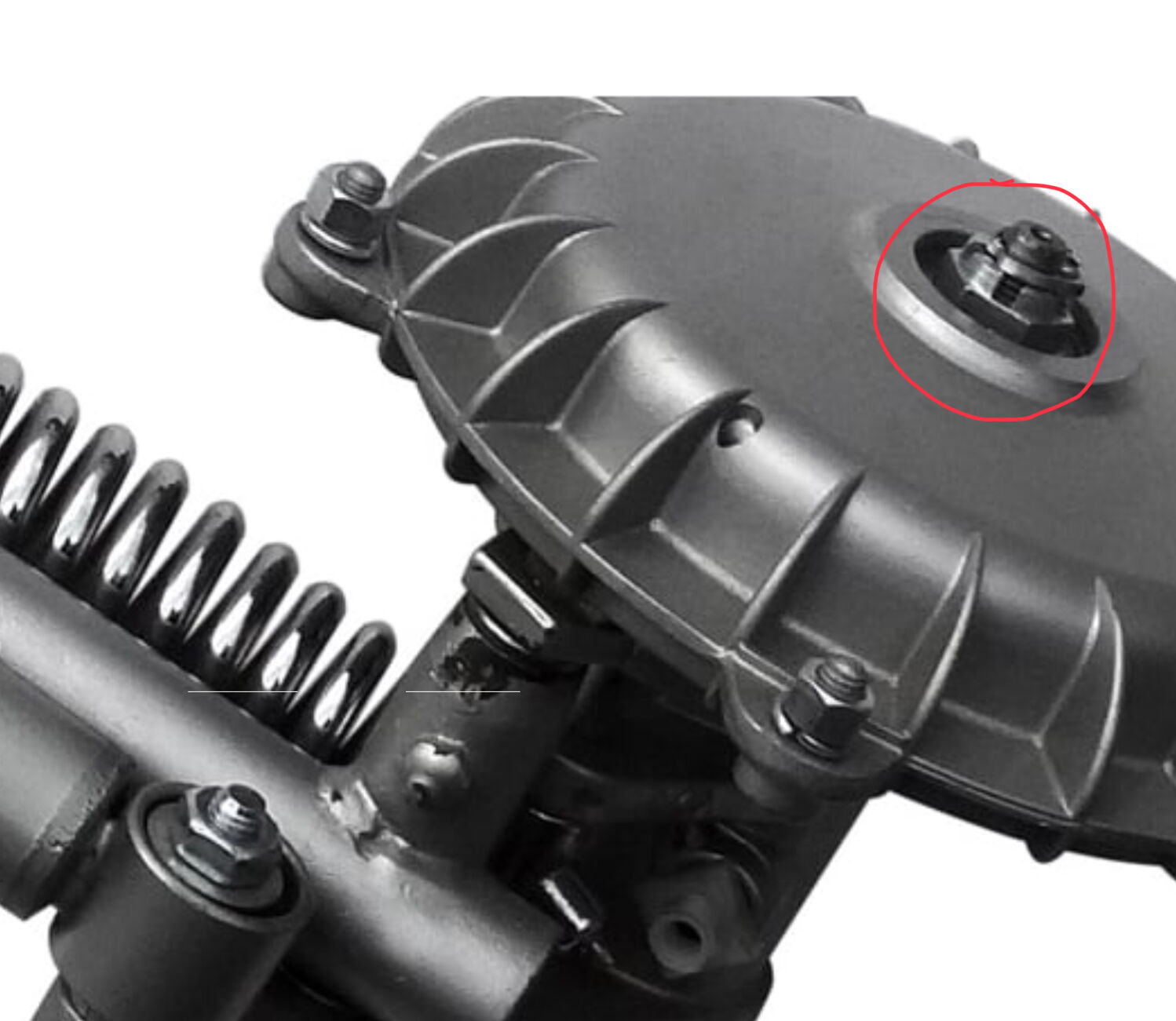 Forum member supplied image with no explanatory text