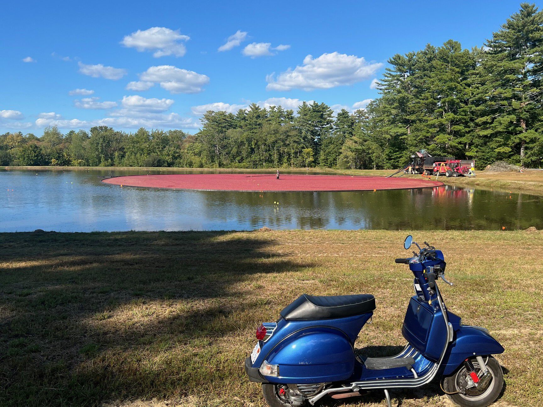 Roundup time in cranberry country.