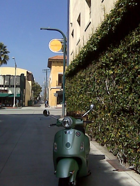 Forum member supplied image with no explanatory text