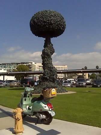 Forum member supplied image with no explanatory text