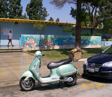 Forum member supplied image with no explanatory text