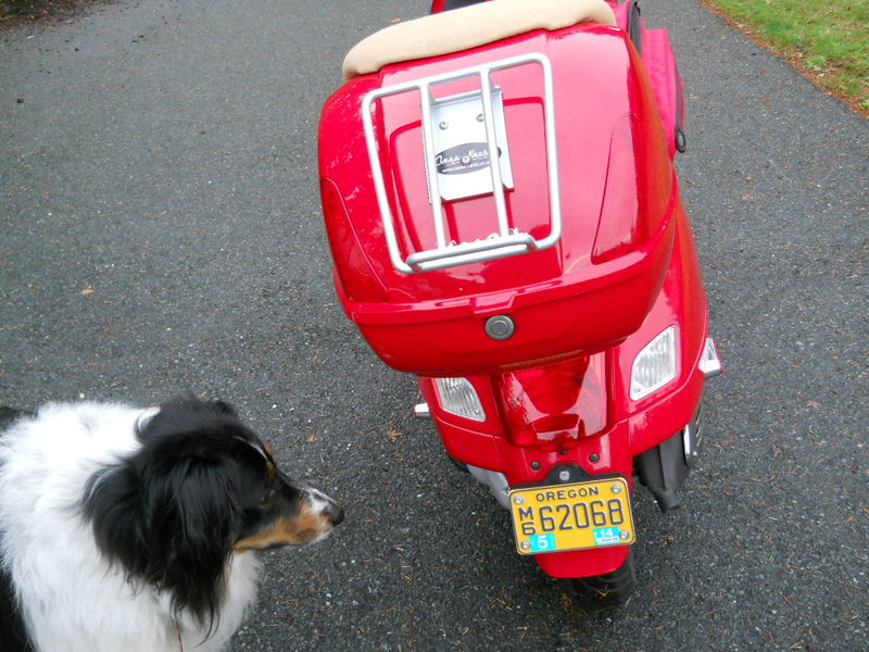 Locking security box mounted underneath license plate on my GTS 250. These are available on line at the usual suppliers, very convenient but not very waterproof so documents should be kept in plastic bags. I've yet to have a border guard notice this compa