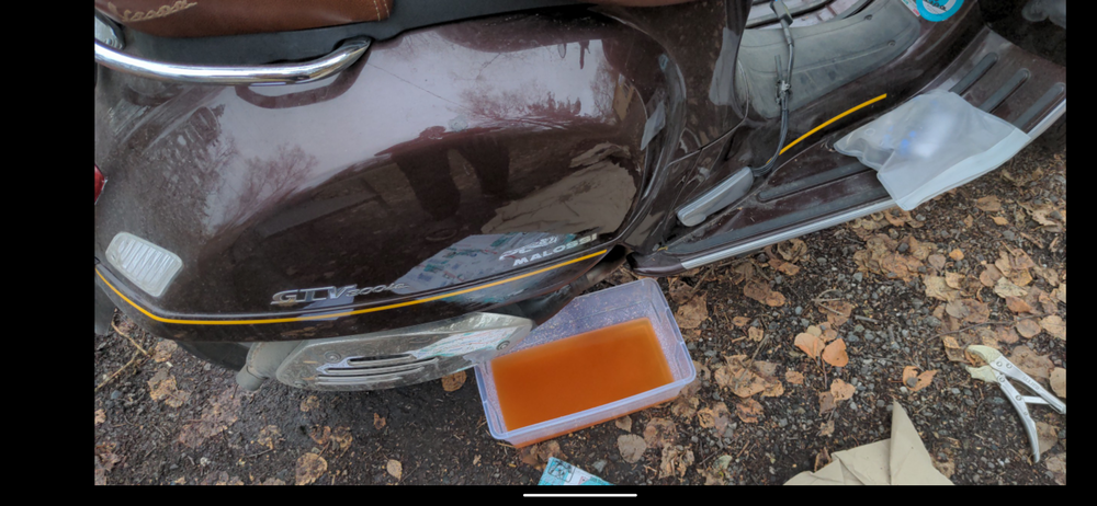 Forum member supplied image with no explanatory text