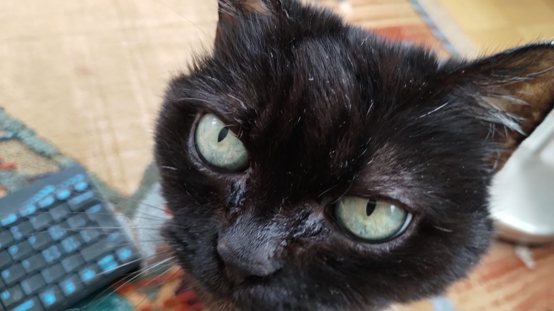 Forum member supplied image with no explanatory text