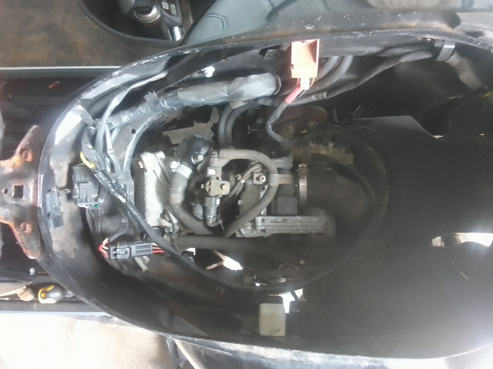 Forum member supplied image with no explanatory text