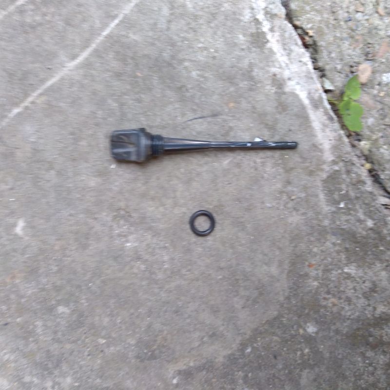 I changed the o-ring, because the old sweated the oil