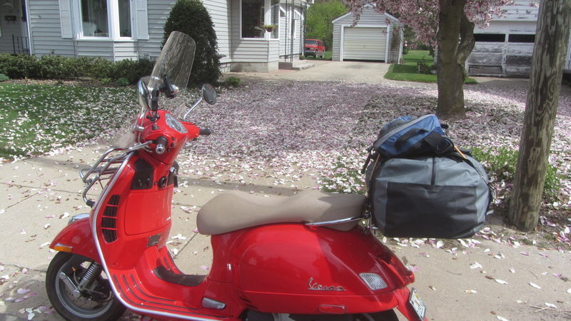 It sat nicely while I took the picture