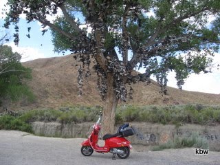 Forum member supplied image with no explanatory text