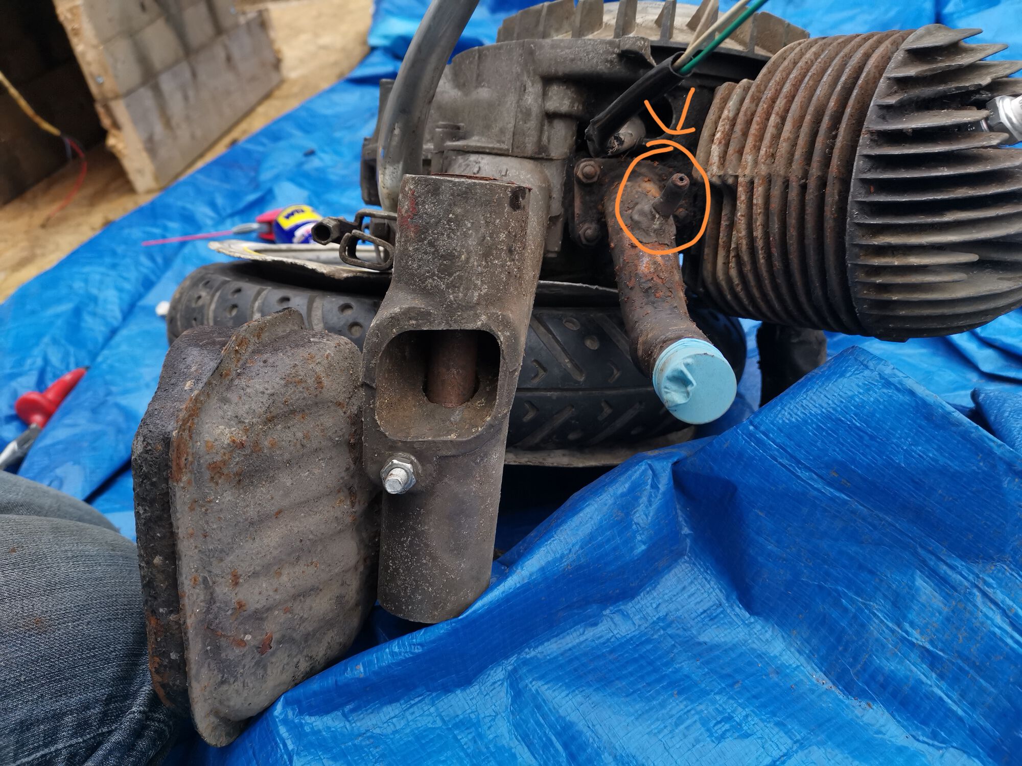 Forum member supplied image with no explanatory text