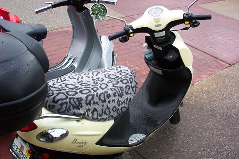 Forum member supplied image with no explanatory text