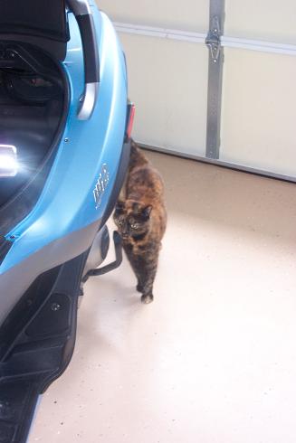 Modern Vespa : 12V Outlet for 250 in 20 easy steps :)