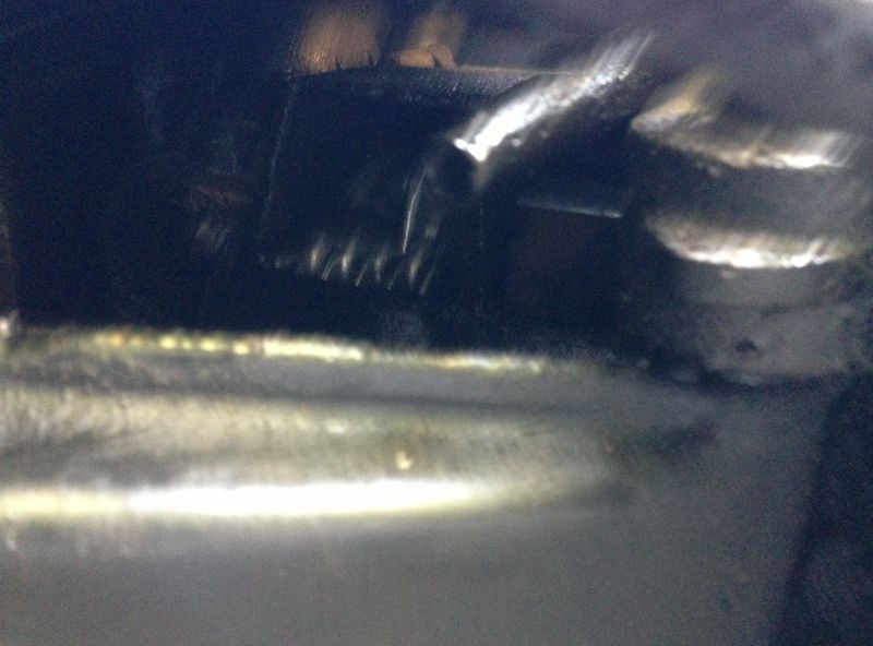 Forum member supplied image with no explanatory text