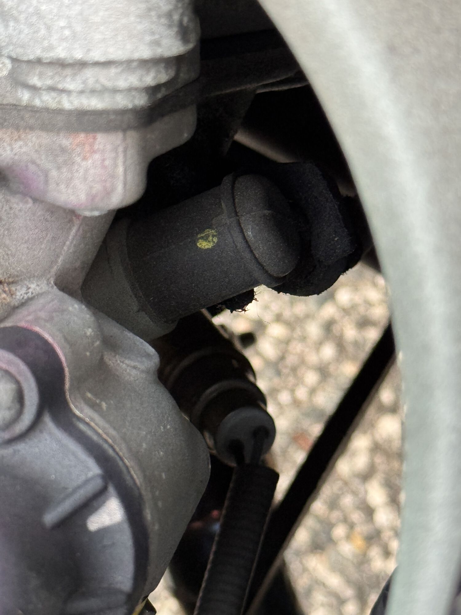 Forum member supplied image with no explanatory text