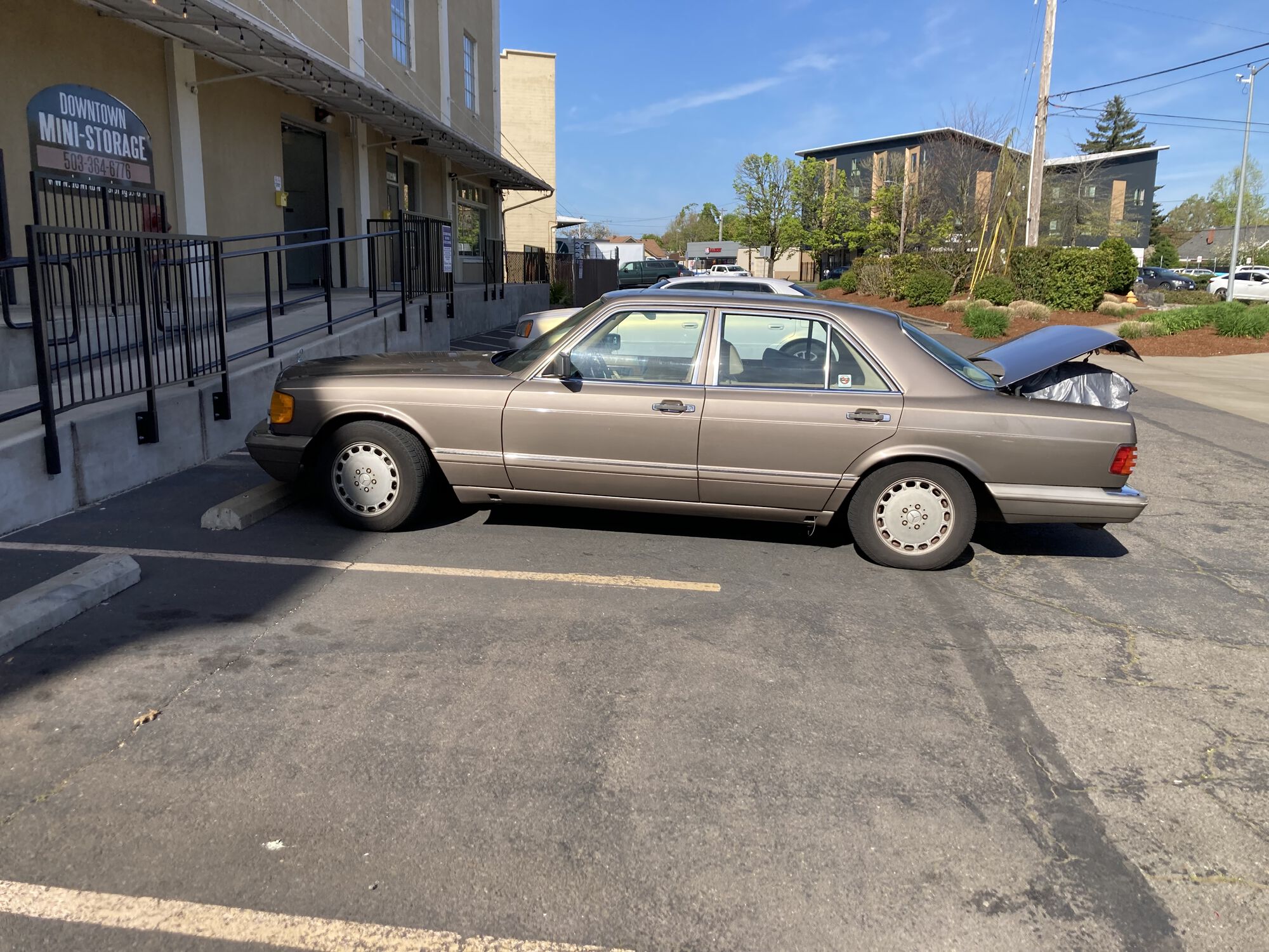 Forum member supplied image with no explanatory text