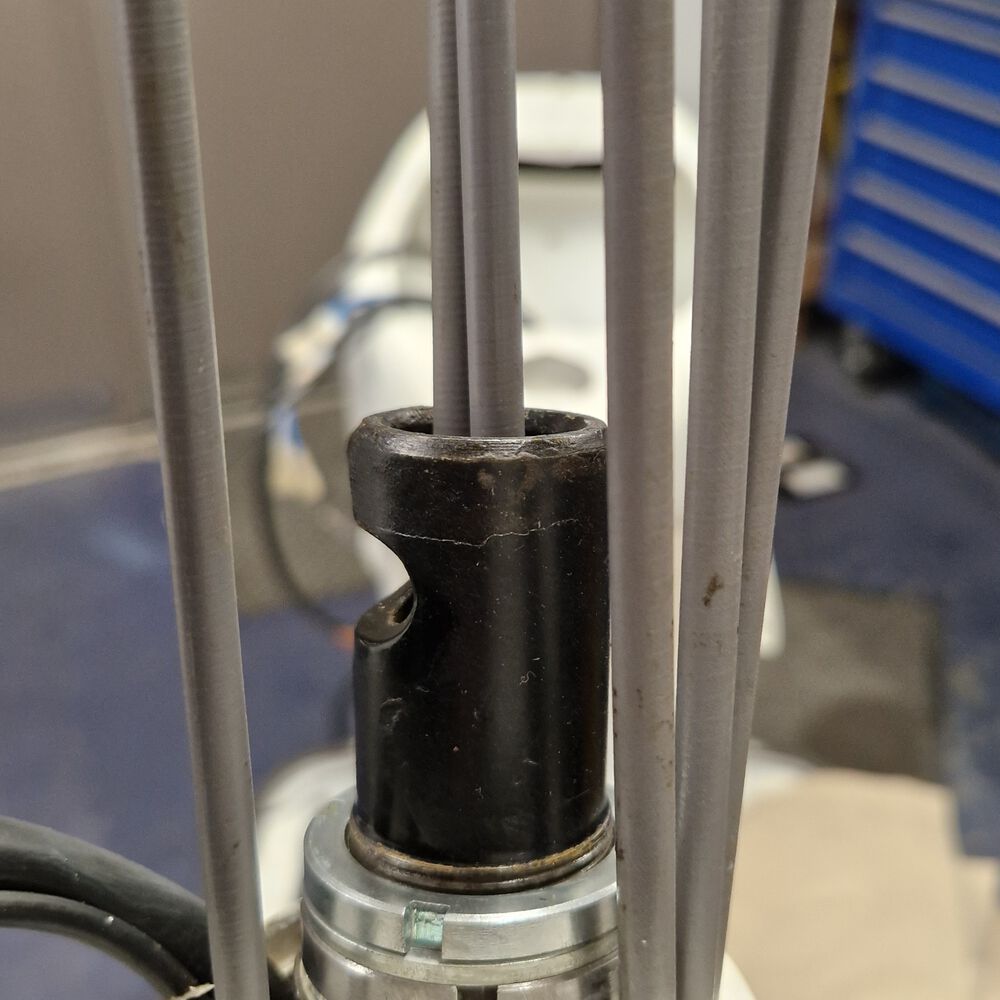 Stem