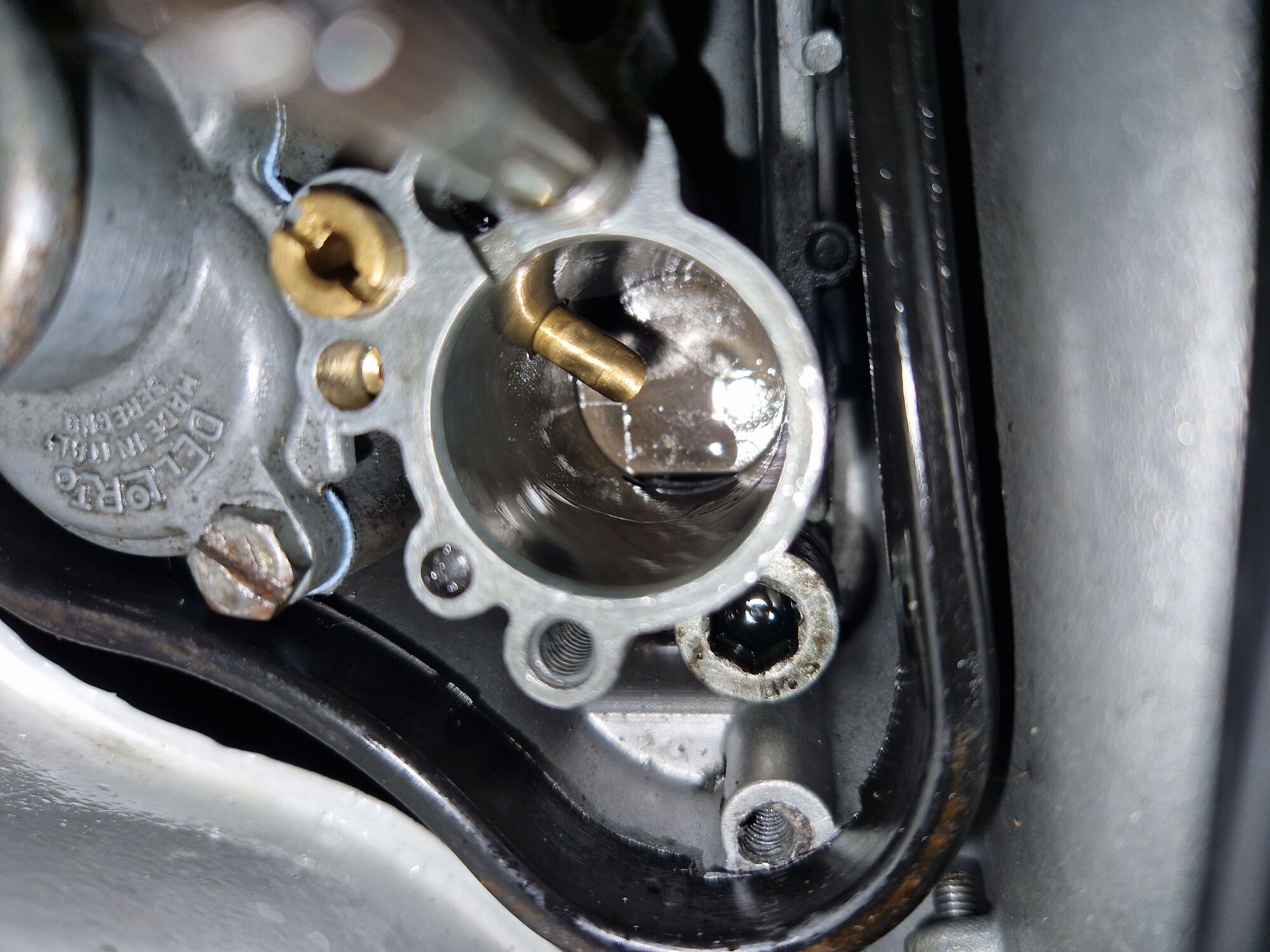 Forum member supplied image with no explanatory text