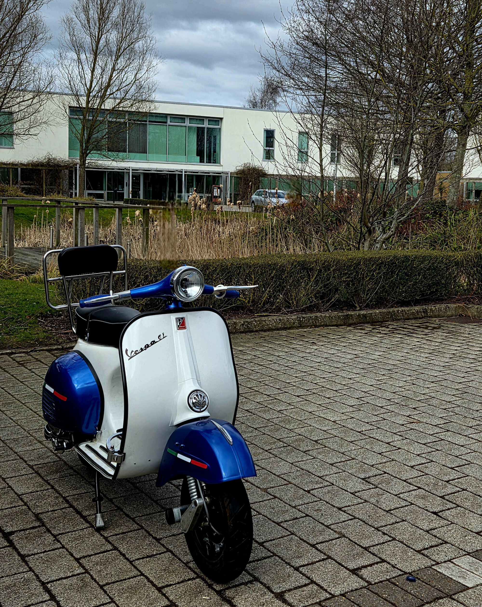 Forum member supplied image with no explanatory text