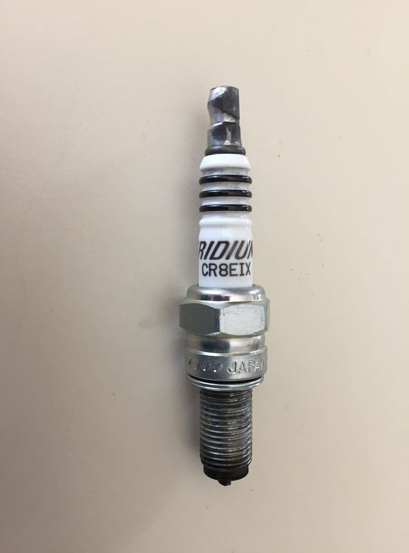Forum member supplied image with no explanatory text
