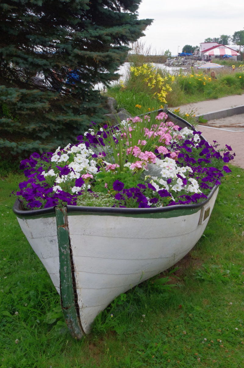 scene at Lincolnville Beach