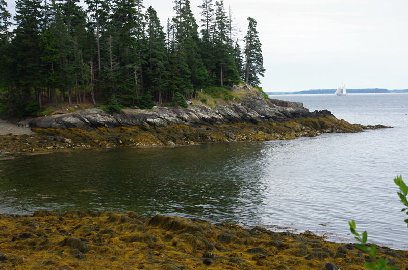 view from Pendleton Point, Islesboro