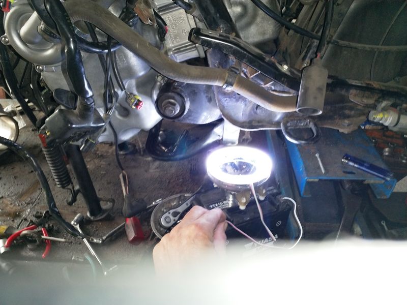 Forum member supplied image with no explanatory text