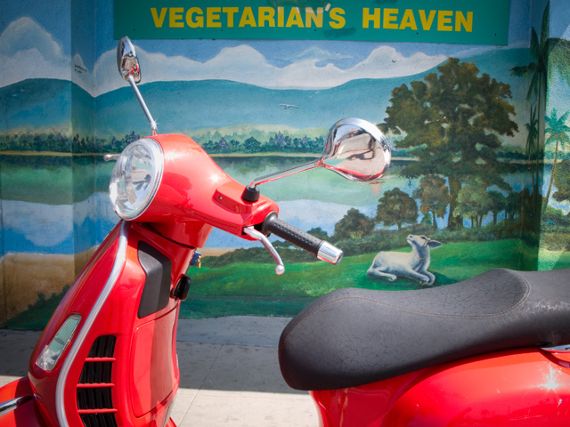 Forum member supplied image with no explanatory text