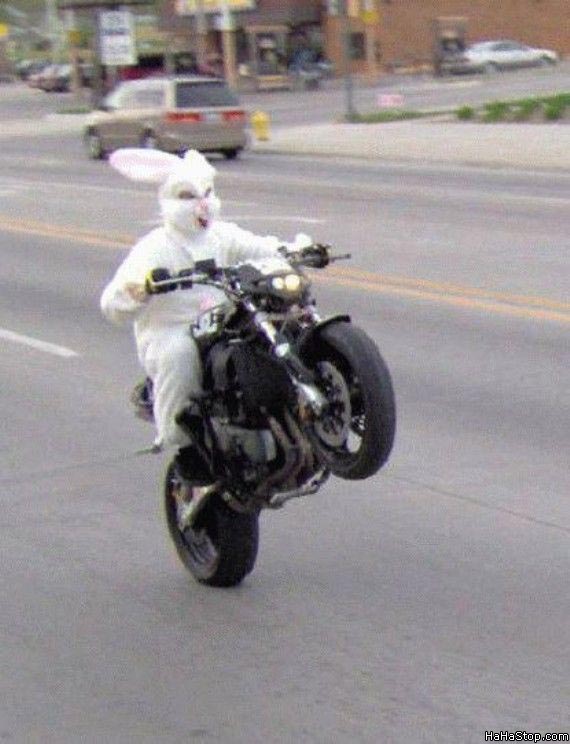 Forum member supplied image with no explanatory text