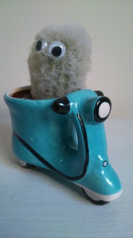 Forum member supplied image with no explanatory text